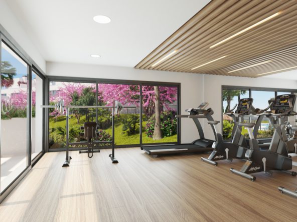 AG_interiores_gimnasio